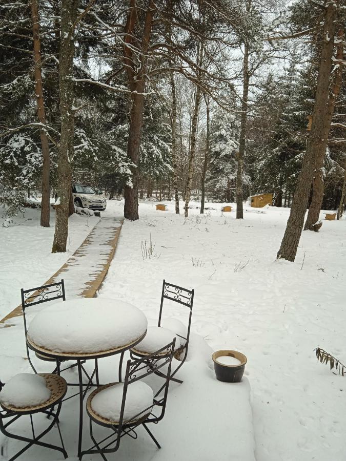 Chalet Cricri Domaine De La Mamounette Champclause Bagian luar foto