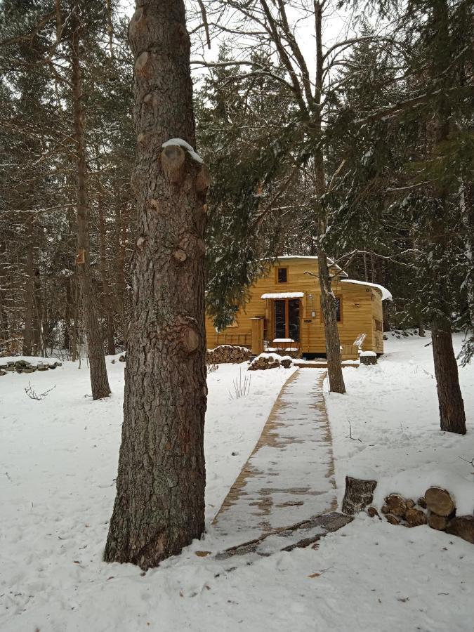 Chalet Cricri Domaine De La Mamounette Champclause Bagian luar foto