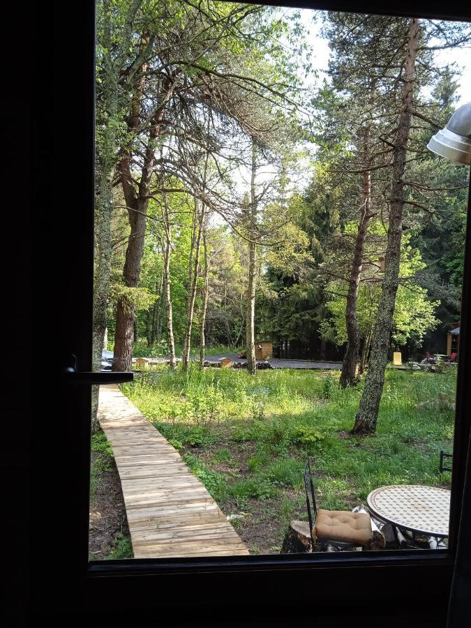 Chalet Cricri Domaine De La Mamounette Champclause Bagian luar foto