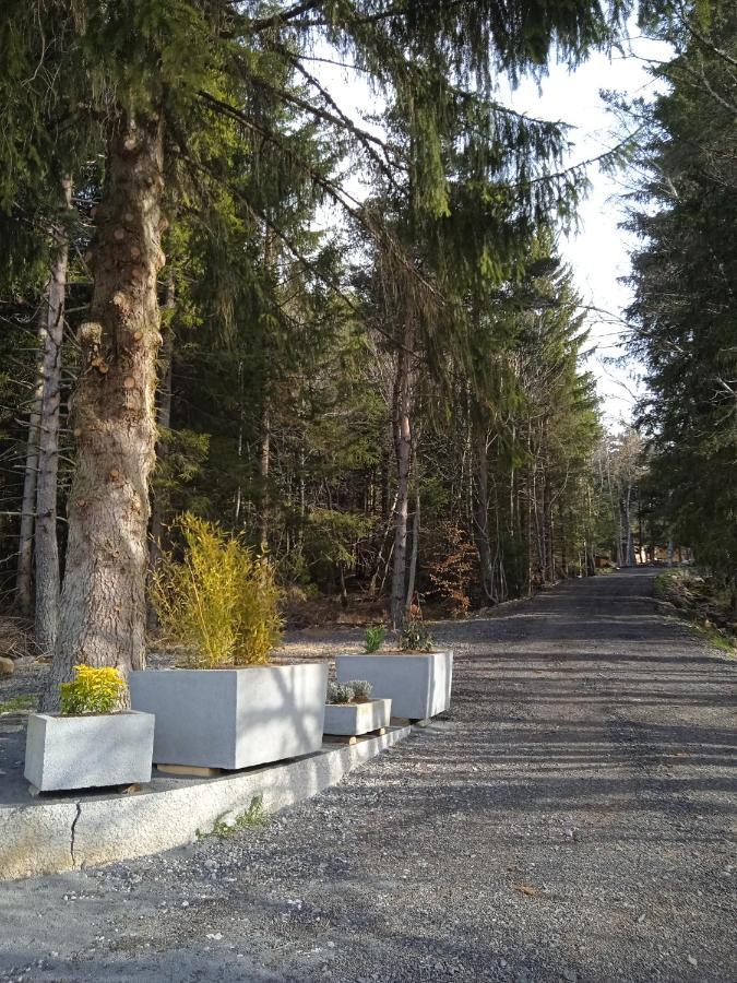 Chalet Cricri Domaine De La Mamounette Champclause Bagian luar foto