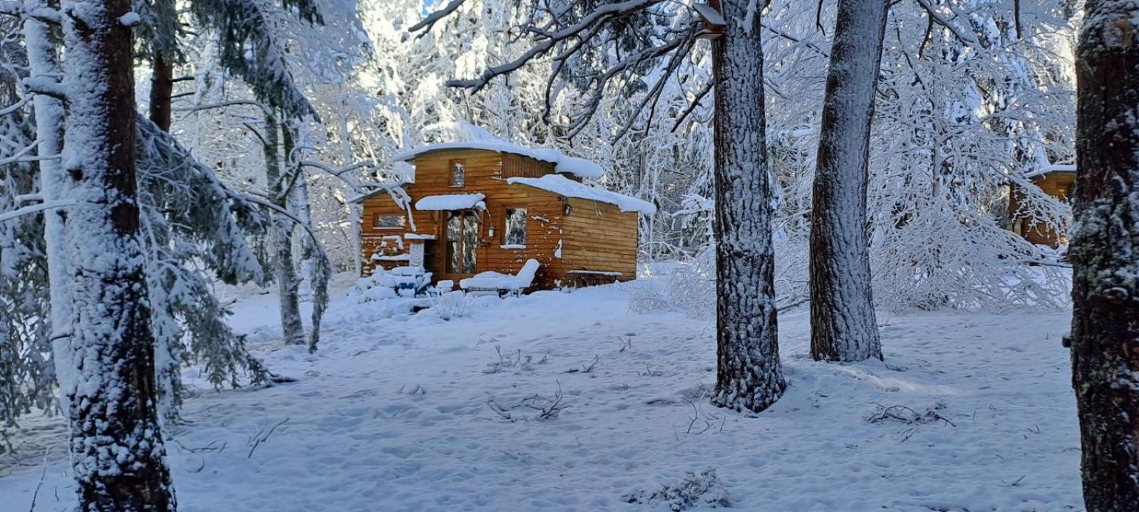 Chalet Cricri Domaine De La Mamounette Champclause Bagian luar foto